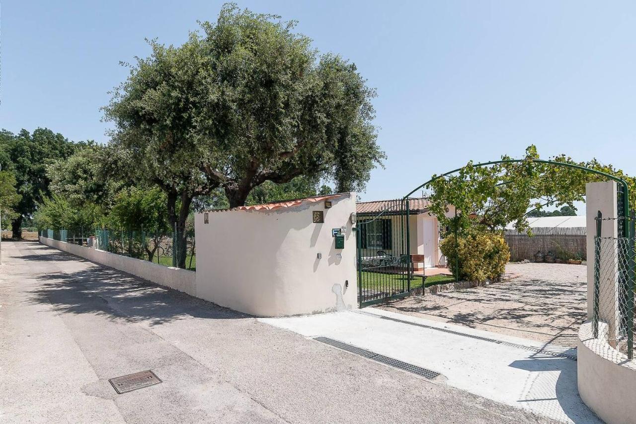 La Cesa Holiday House San Felice Circeo Ngoại thất bức ảnh